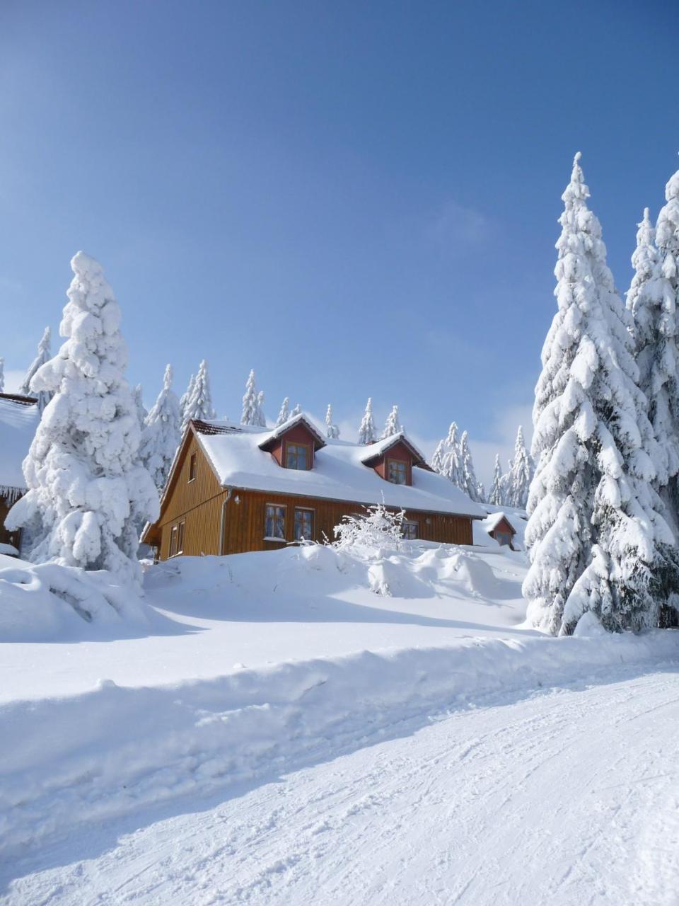 Hotel Und Berggasthof Spiessberghaus Фридрихрода Екстериор снимка