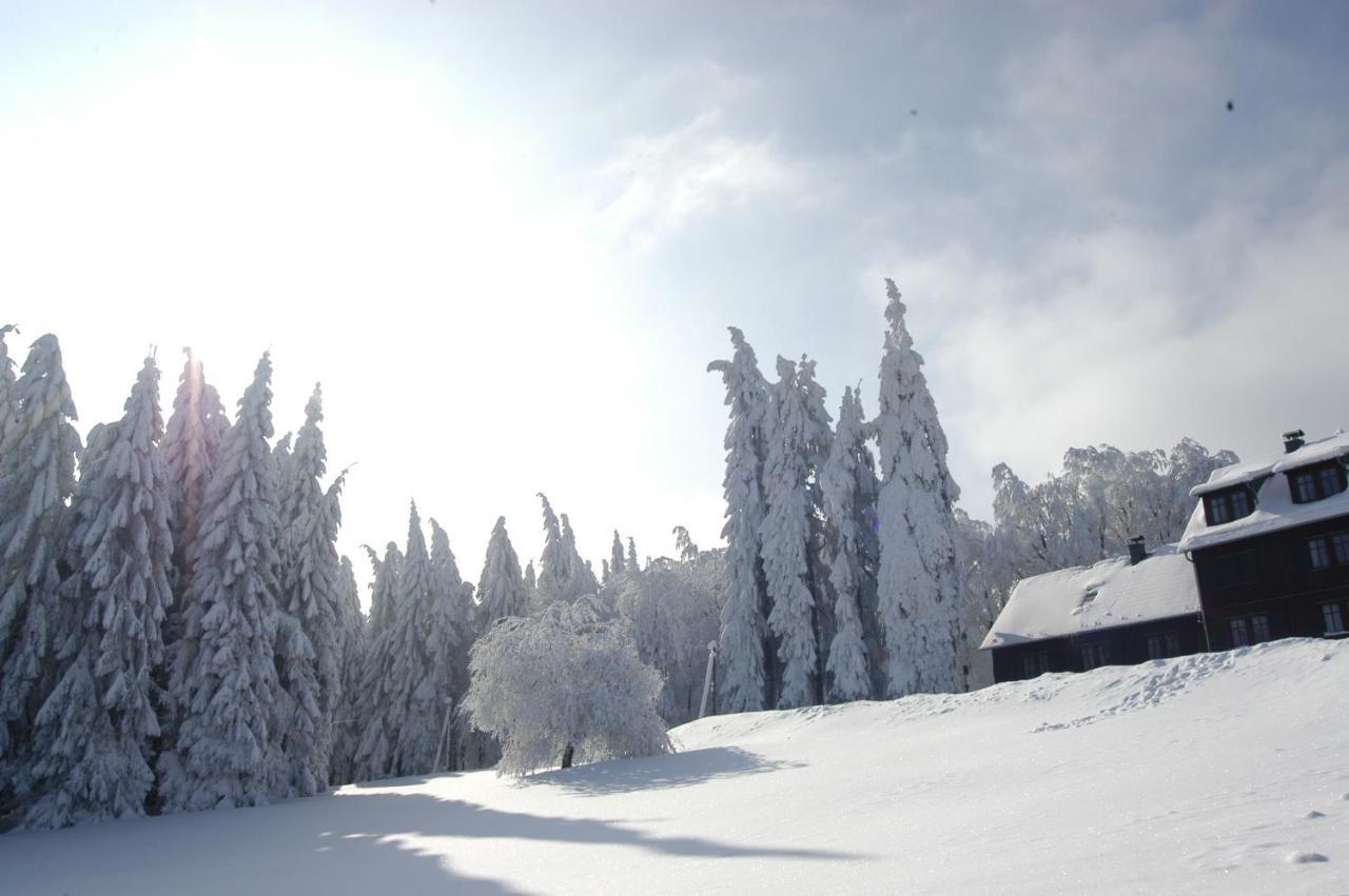 Hotel Und Berggasthof Spiessberghaus Фридрихрода Екстериор снимка